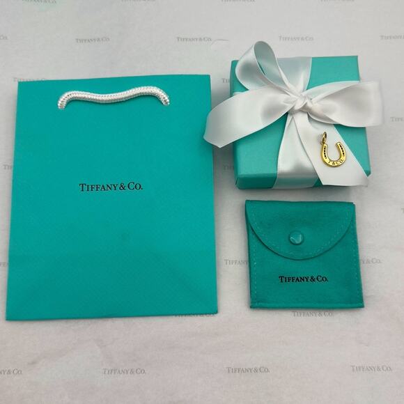 Tiffany & Co. Lucky 1837 Horseshoe Charm Pendant Yellow Gold 750 W /Pouch & Box - Picture 9 of 10